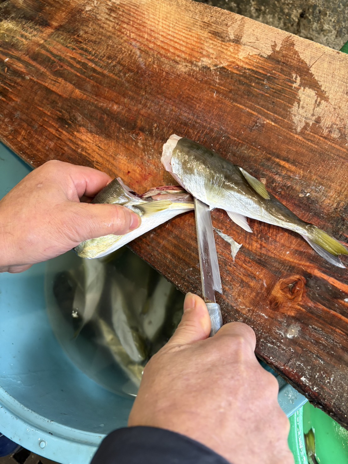 魚を捌く